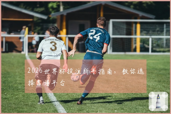 2026世界杯投注新手指南，教你选择靠谱平台